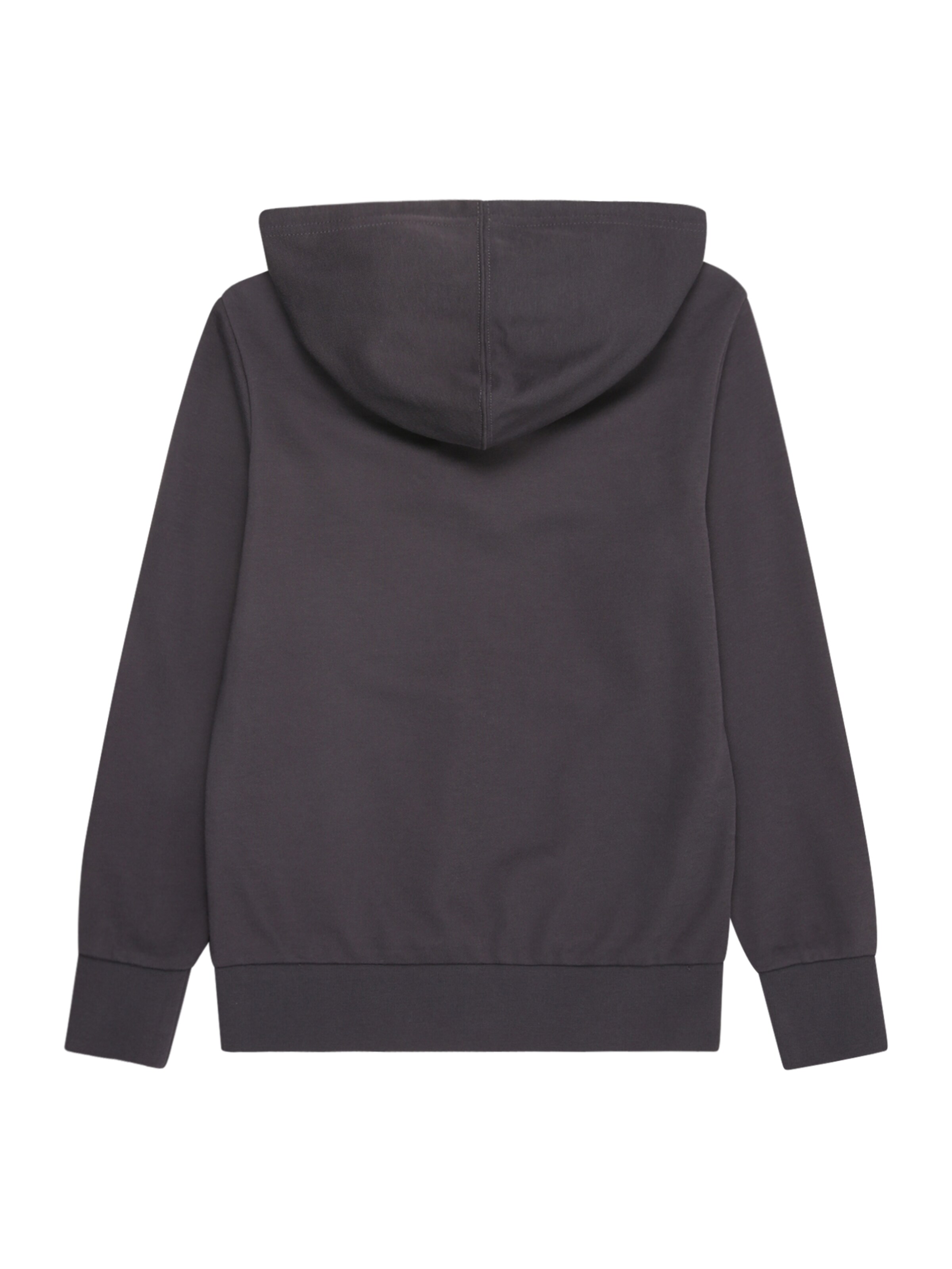 Champion Authentic Athletic Apparel Sweatshirt in Grau