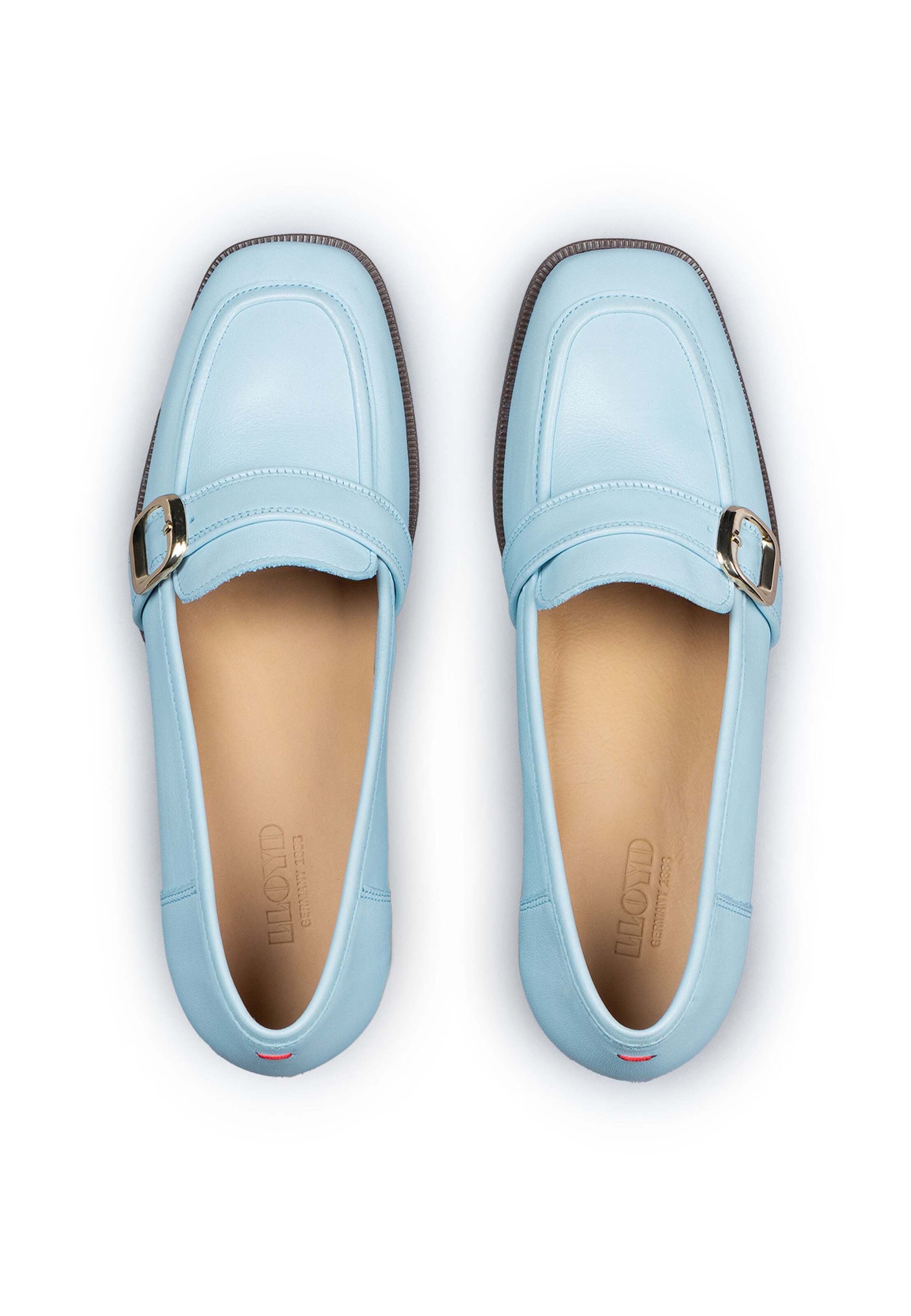 LLOYD Pumps in Blauw