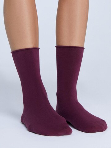 Albero Natur Socks 'Bio-Baumwoll-Socken mit Rollrand Unisex – 2er Pack' in Red