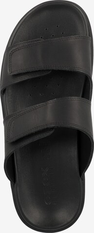 GEOX Mules 'Xand' in Black