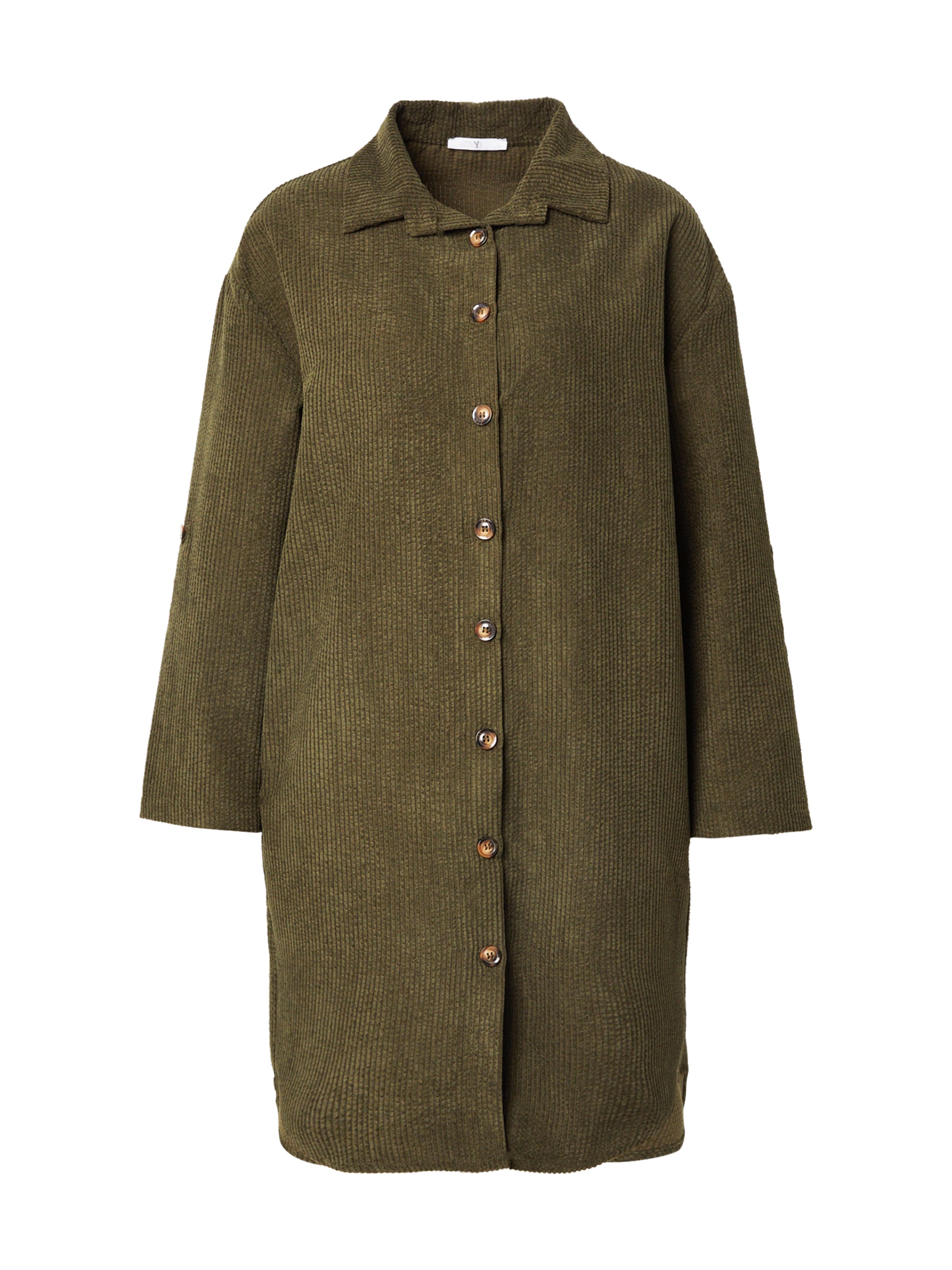 Hailys Μπλουζοφόρεμα 'Ro44bina' σε πράσινο: μπροστά