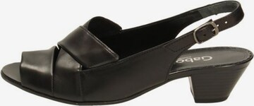 GABOR Strap Sandals in Black