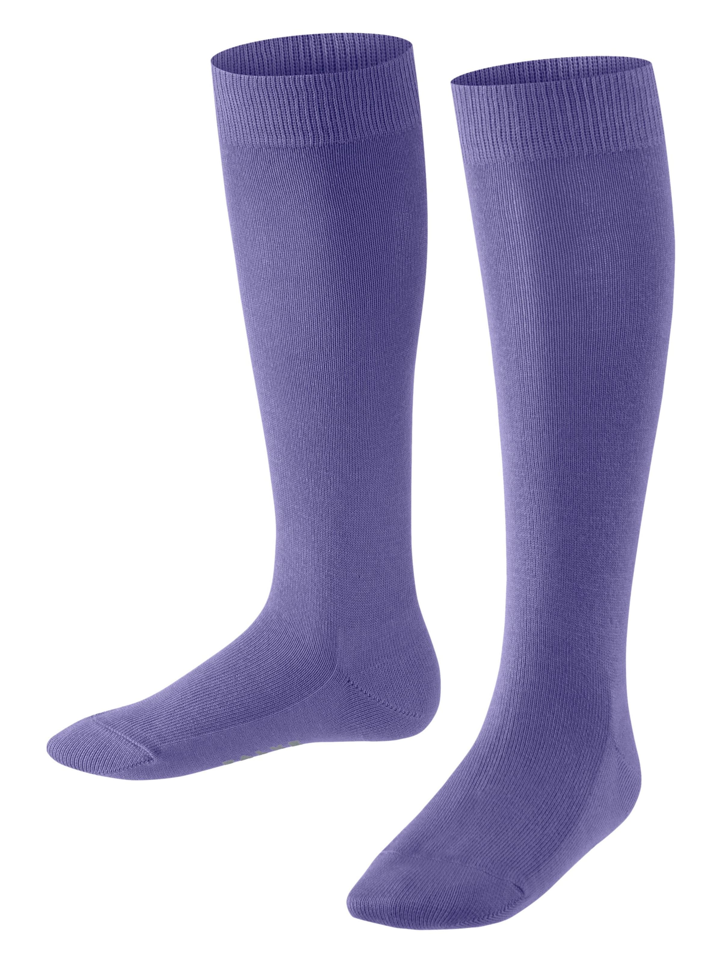 FALKE Socks 'Family' in Purple: front