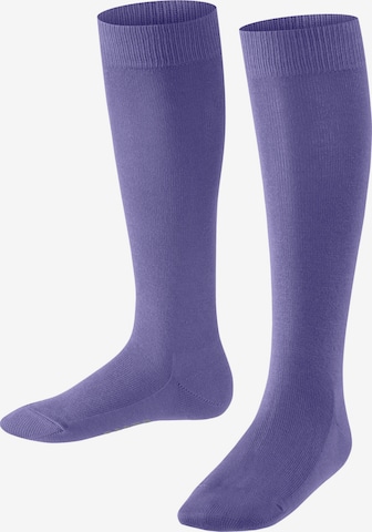 FALKE Socks 'Family' in Purple: front