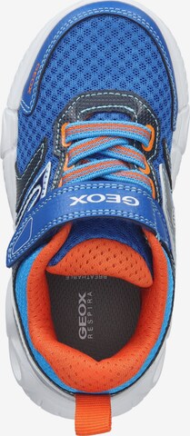 GEOX Sneakers in Blauw