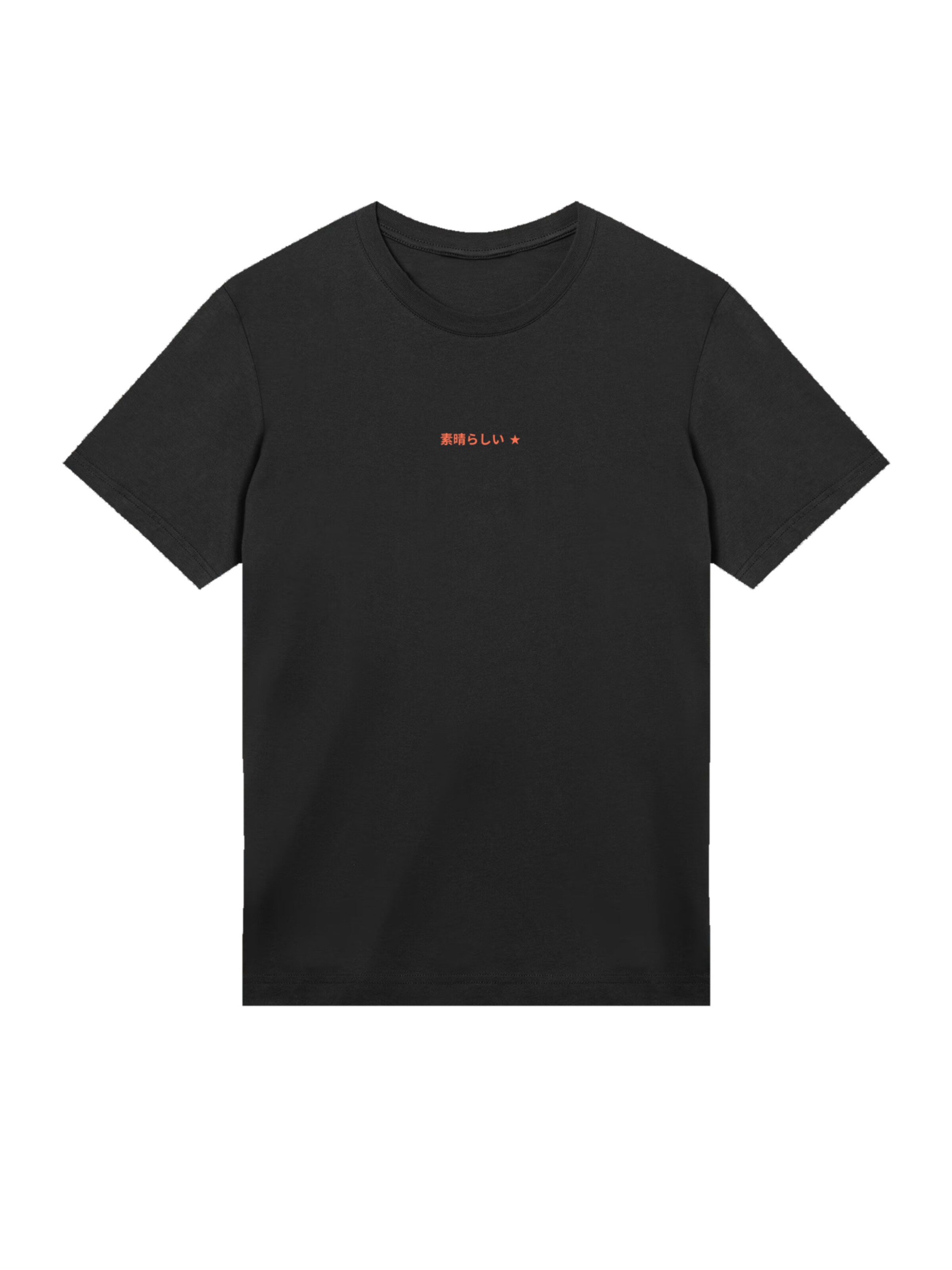 T-Shirt 'Kanagawa Welle Japan' F4NT4STIC en noir : devant