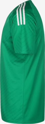 Maglia trikot 'Campeon 23' di ADIDAS PERFORMANCE in verde