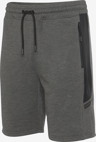 Authentic Le Jogger Regular Workout Pants 'AUTHENTIC LE' in Grey