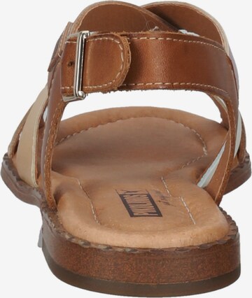 PIKOLINOS Strap Sandals in Brown