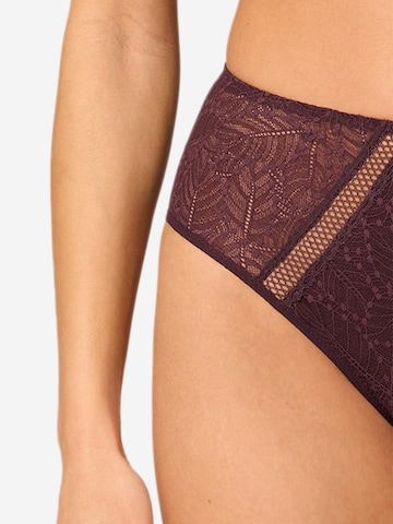 Simone Perele Panty 'Comete' in Brown