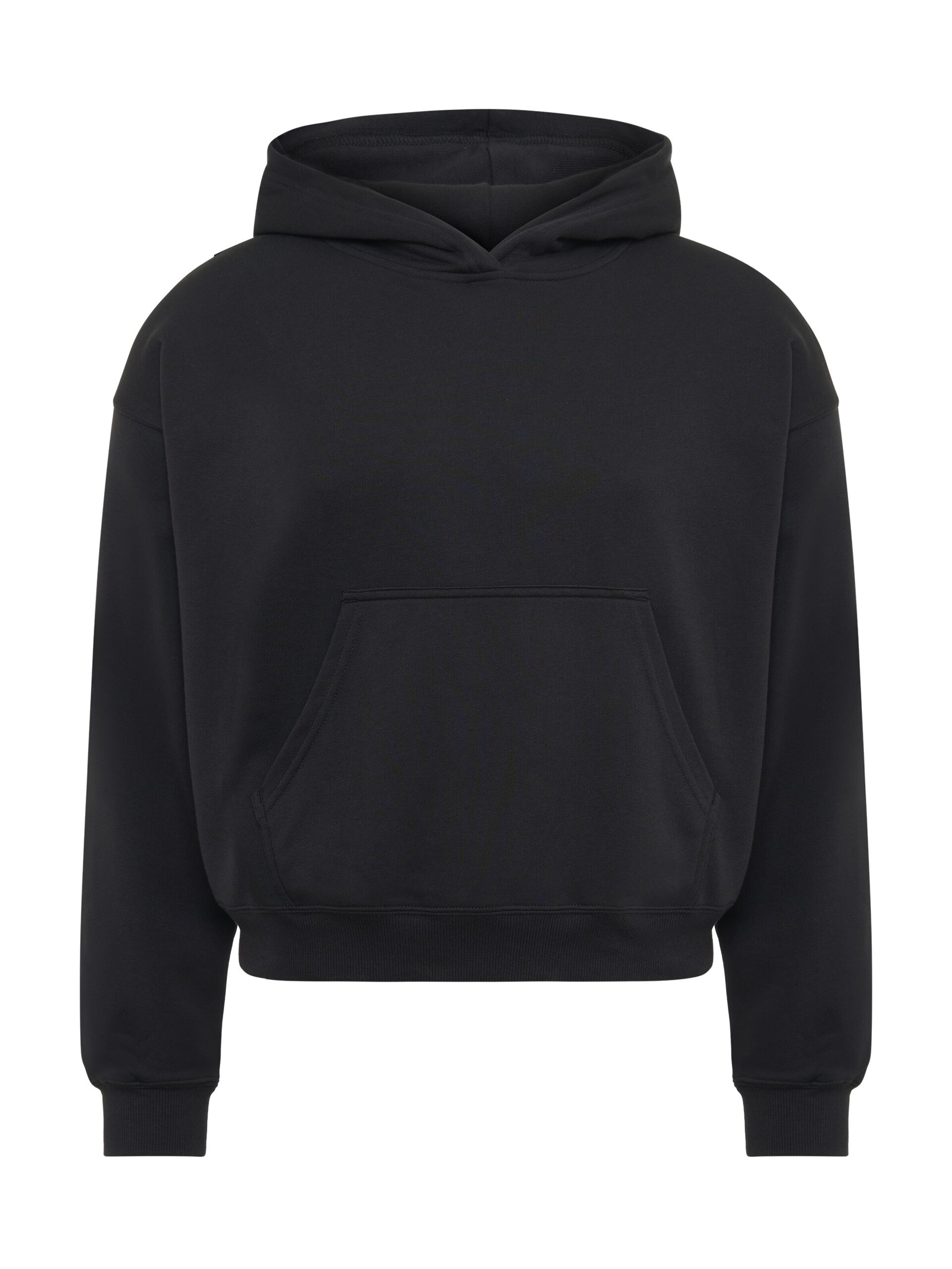 Fabletics Hoodie 'Year Round Terry' in Schwarz: Vorderseite