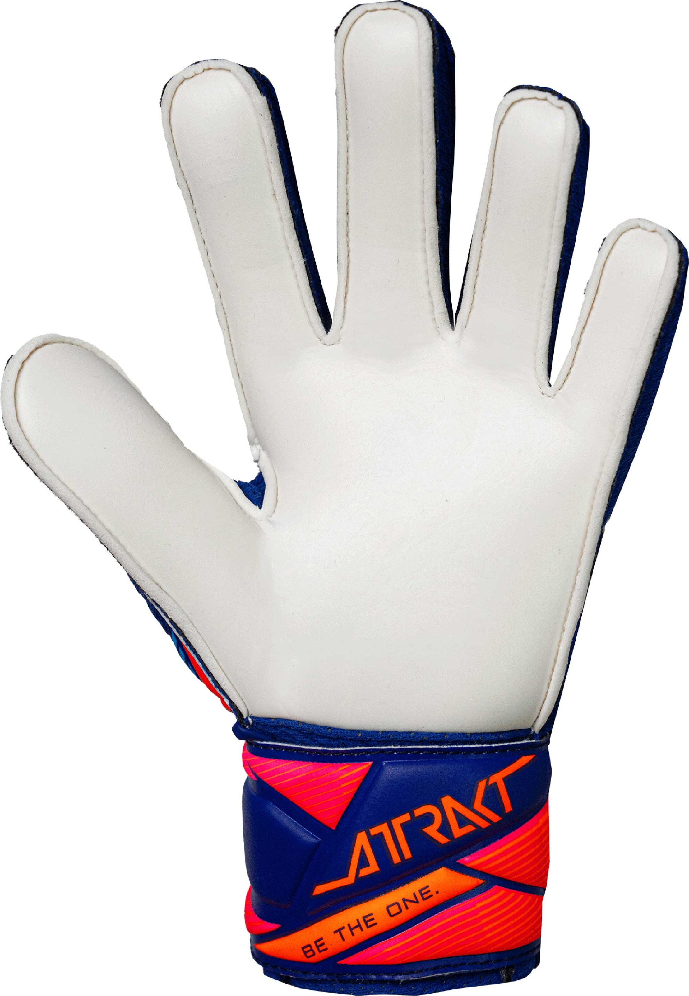 REUSCH Sports gloves 'Attrakt Solid Junior' in Blue