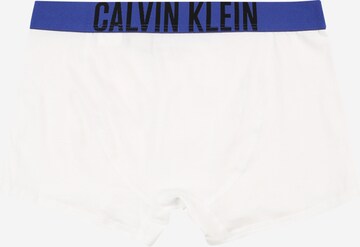 pilka Calvin Klein Underwear Apatinės kelnaitės