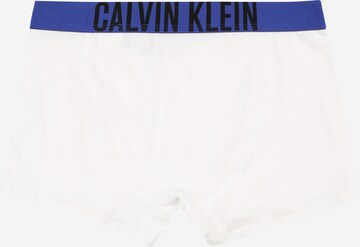 Calvin Klein Underwear Nohavičky - Sivá