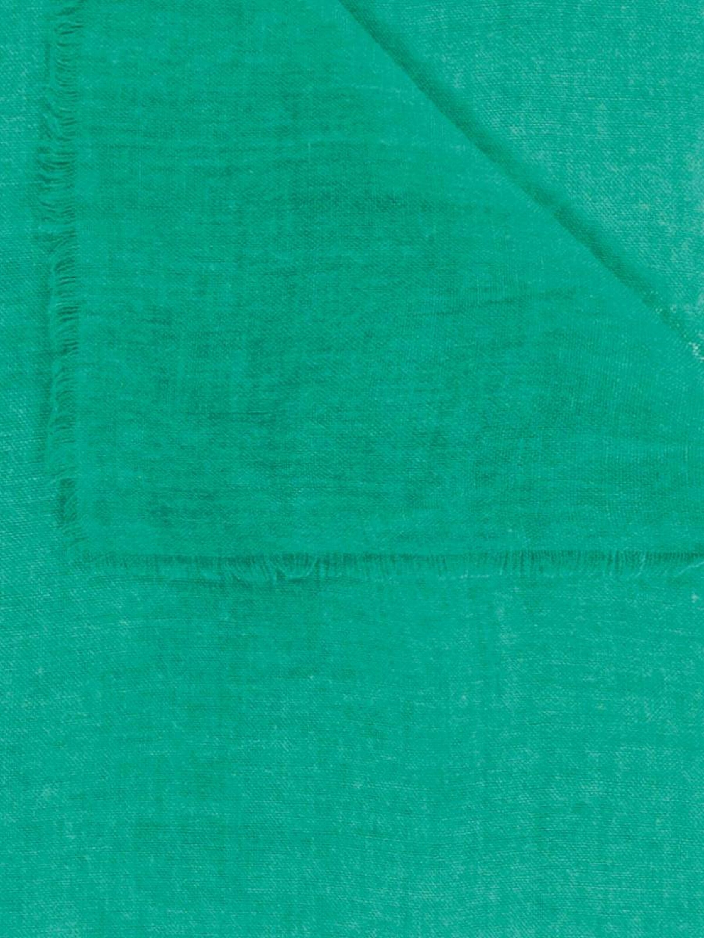 Passigatti Wrap 'Schal uni' in Green