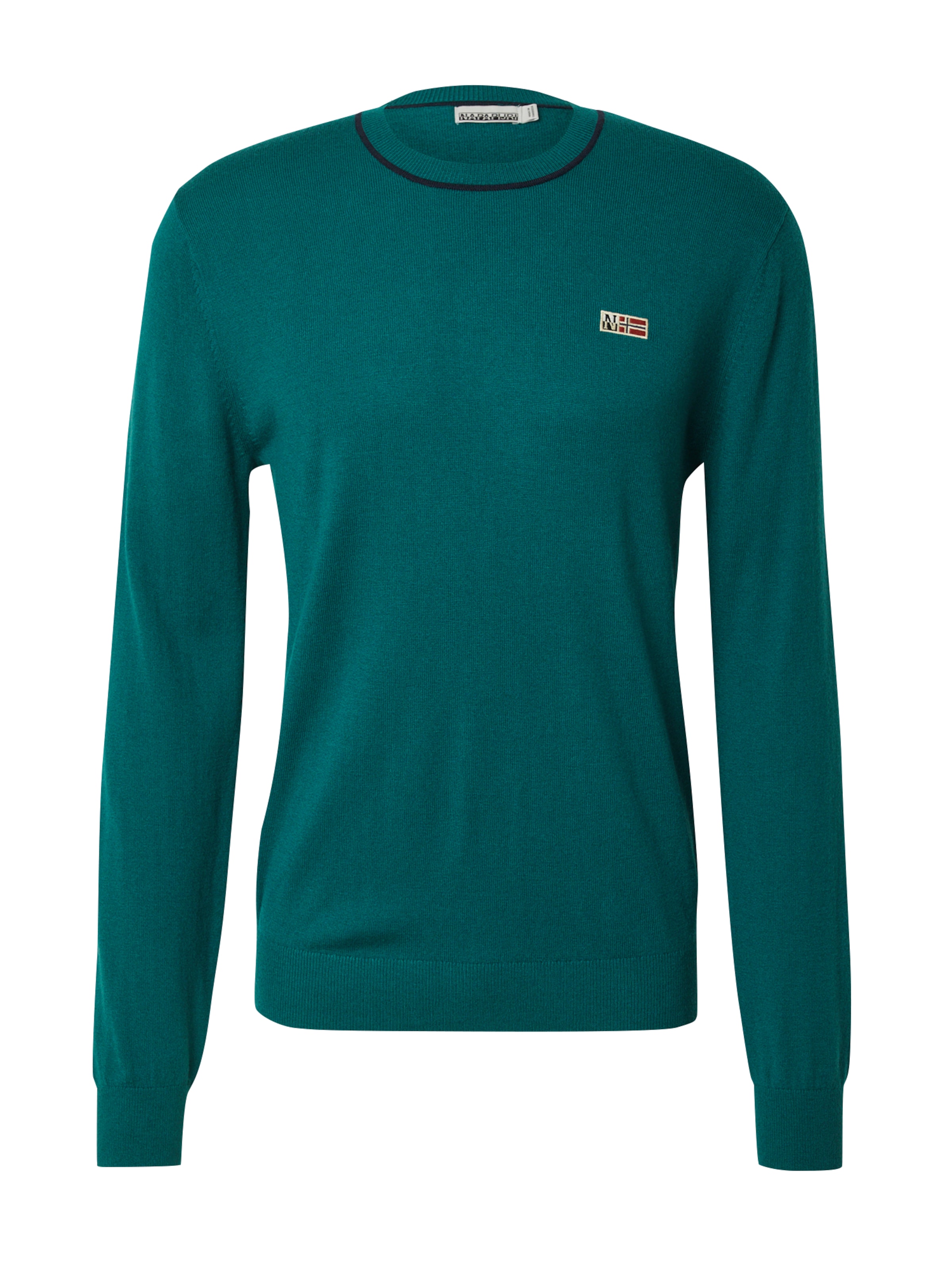 NAPAPIJRI Tröja 'DONORI C 4' i grön: framsida