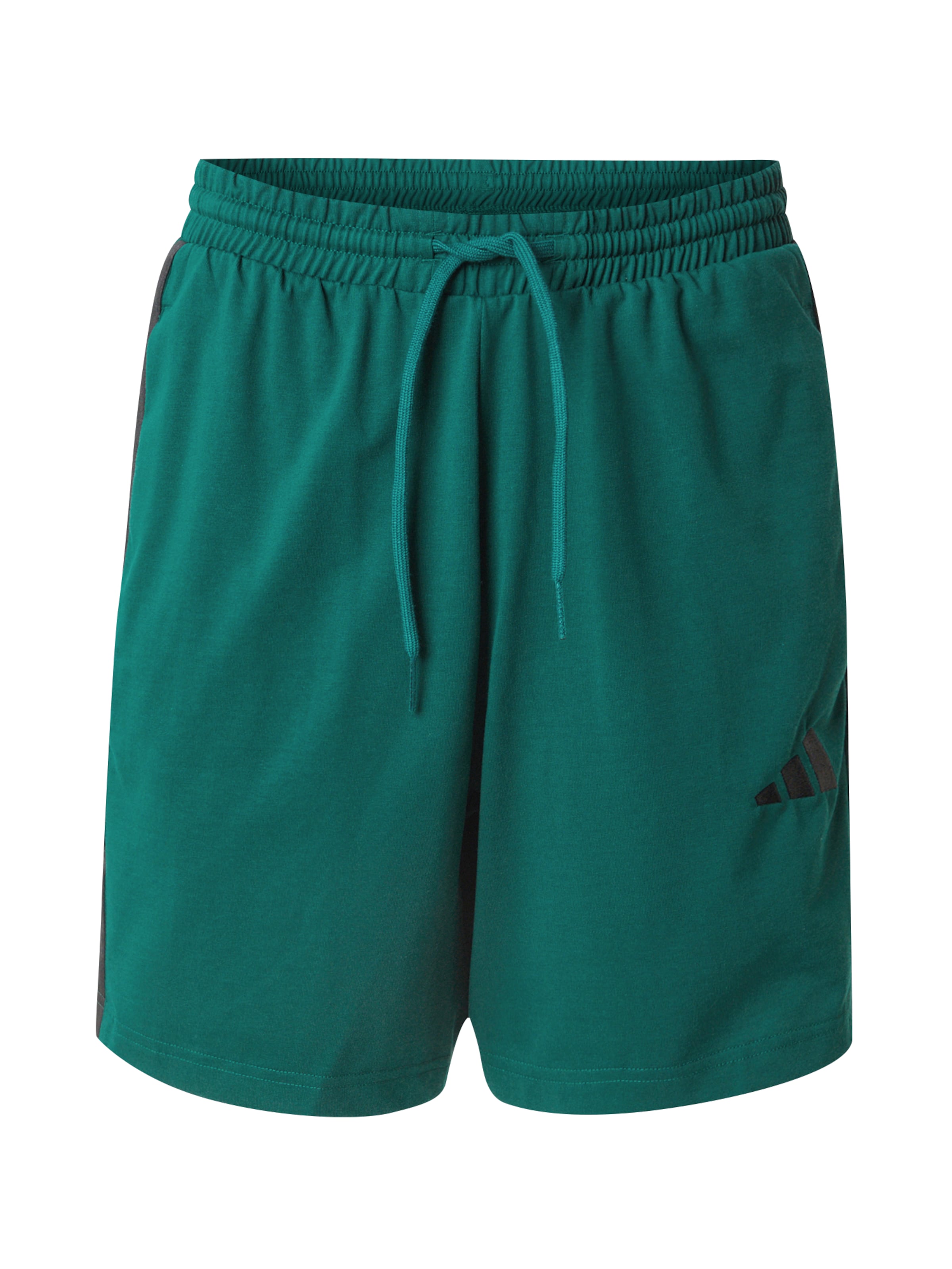 ADIDAS SPORTSWEAR Pantalon de sport en émeraude / noir, Vue avec produit