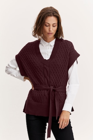 Fransa Sweater 'Frsusann' in Purple: front