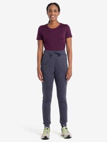 Effilé Pantalon 'Crush II' ICEBREAKER en gris