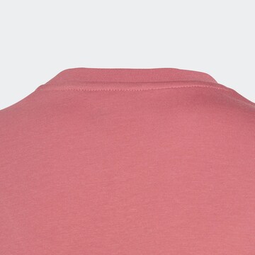 ADIDAS ORIGINALS Paita 'Adicolor' värissä vaaleanpunainen