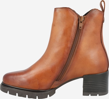 TT. BAGATT Bootie 'Yamila' in Brown