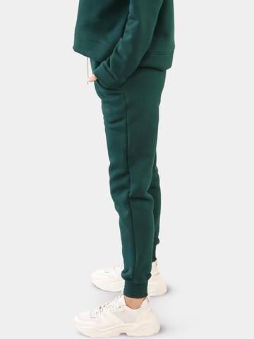 Regular Pantalon Ombre en vert