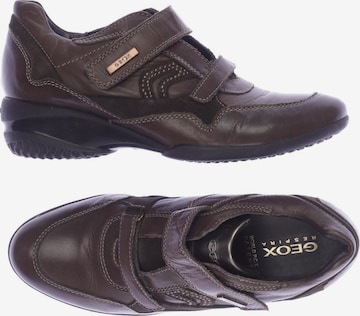 GEOX Flats & Loafers in 38 in Brown: front