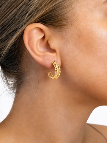 Fräulein Wunder Ohrringe 'Braided'‌‌‌‌‌‌‌ in Gold