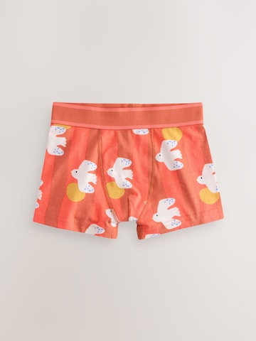 Next Underpants in Mixed colors