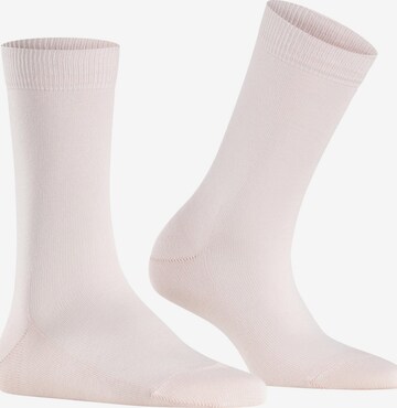 FALKE Socks 'Family' in Pink: front