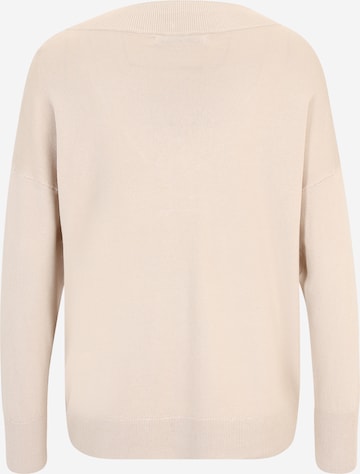 Only Petite Pullover in Beige