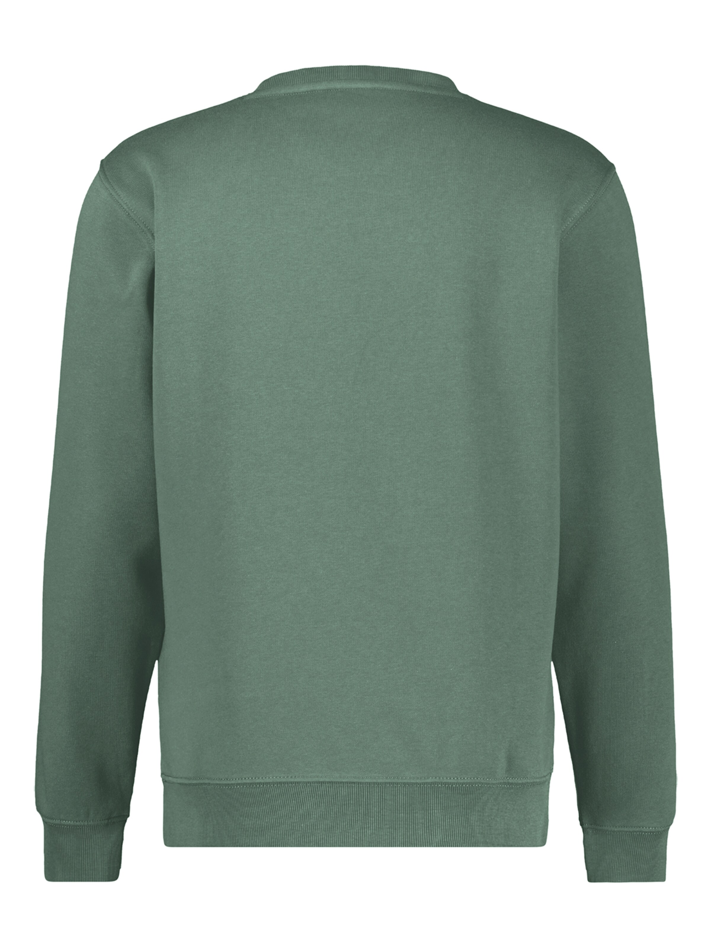 LERROS Sweatshirt in Groen
