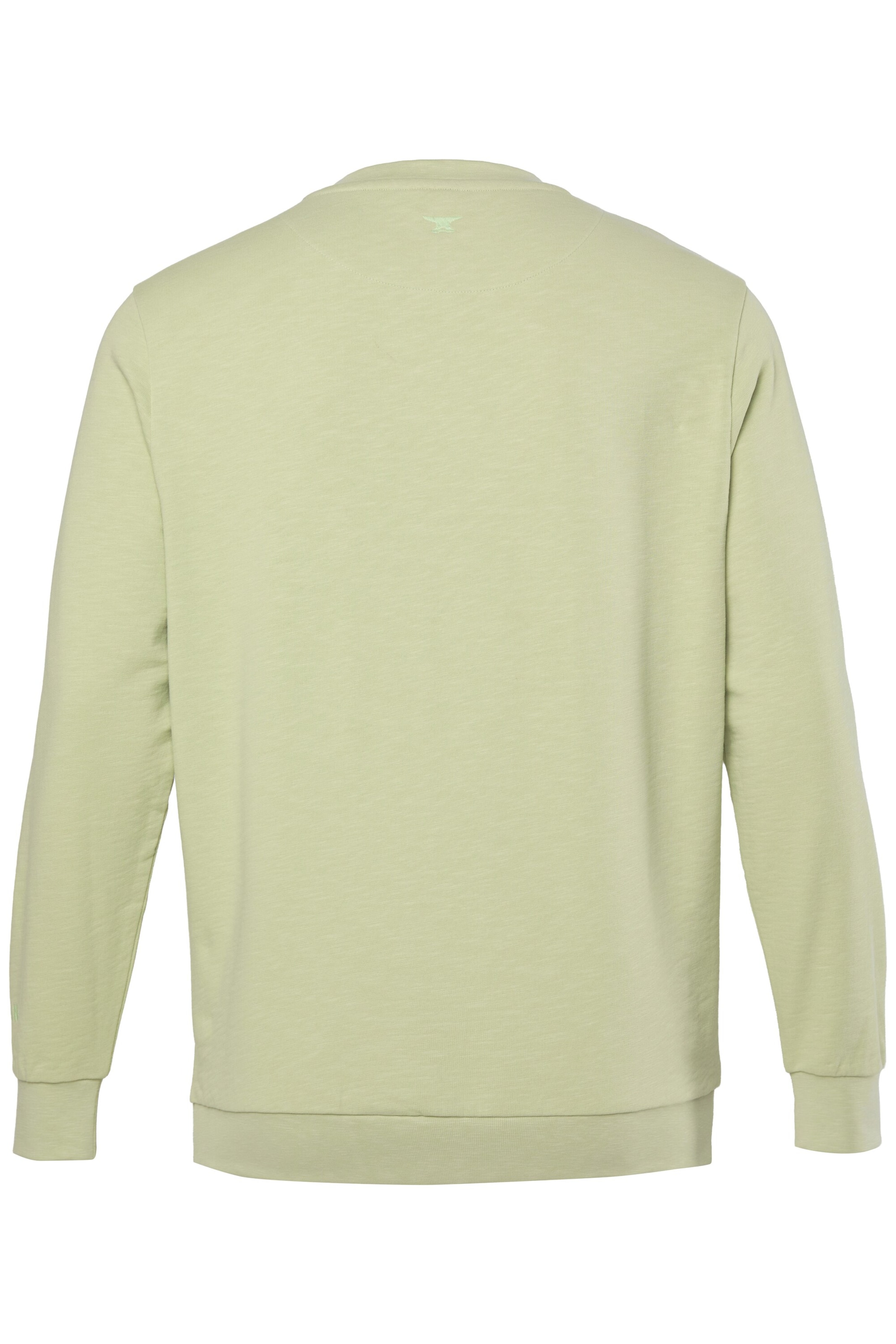 JAY-PI Sweatshirt in Grün