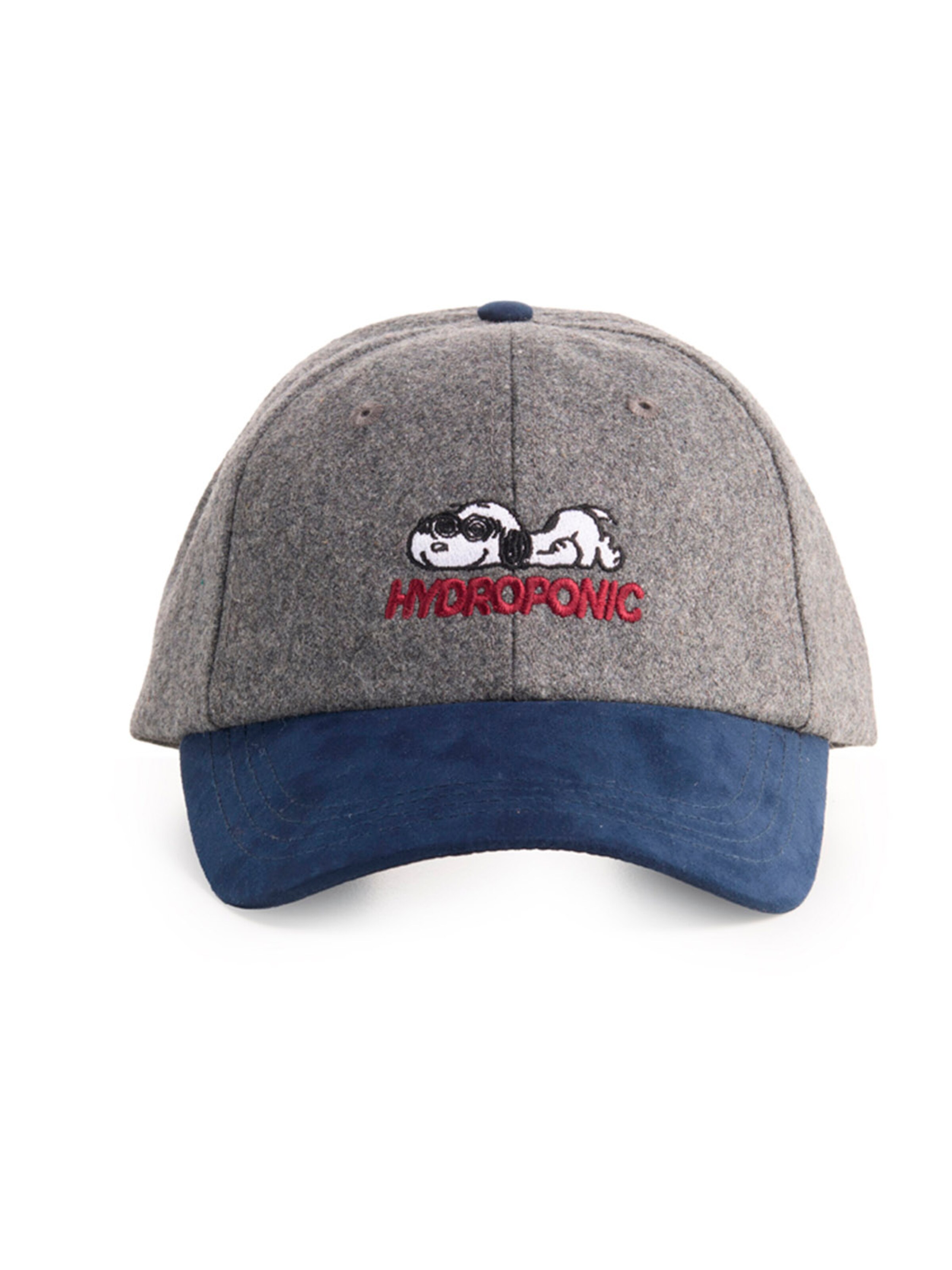 hydroponic - Gorra deportiva 'Hydroponic x Peanuts Obsessed Cap' en gris: frente