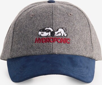 hydroponic - Gorra deportiva 'Hydroponic x Peanuts Obsessed Cap' en gris: frente
