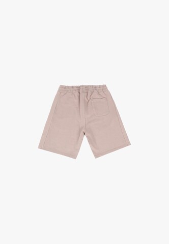 Dropsize Loosefit Broek in Grijs