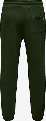Tapered Pantaloni di Only & Sons in verde
