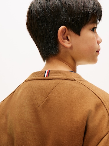 TOMMY HILFIGER Sweater 'Varsity' in Brown