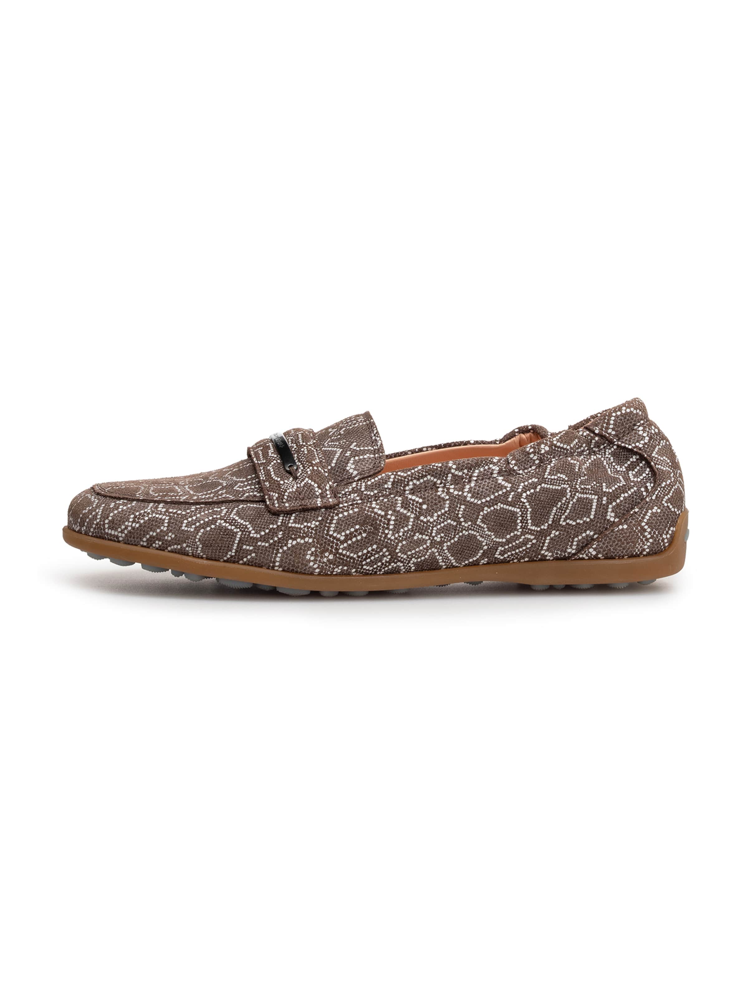 Floris van Bommel Classic Flats 'Sitti 03' in Brown: front
