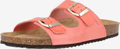 GEOX Sandały z rzemykami 'Brionia' w kolorze łososiowym, Podgląd produktu