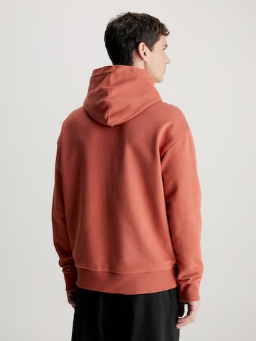 Calvin Klein Sweatshirt in Braun