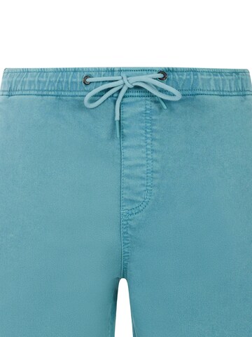 PROTEST Regular Hose 'PRTHoover' in Grün: Vorderseite