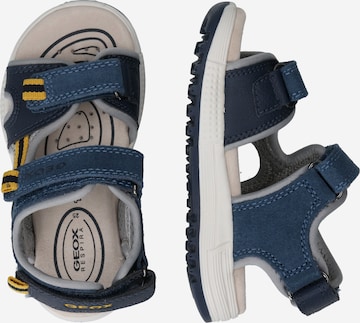 GEOX Sandals & Slippers 'ALBEN' in Blue