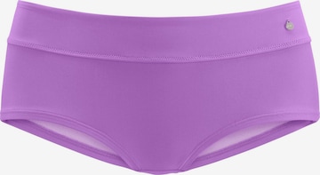 s.Oliver Bikinihose 'Spain' in Lila: Vorderseite