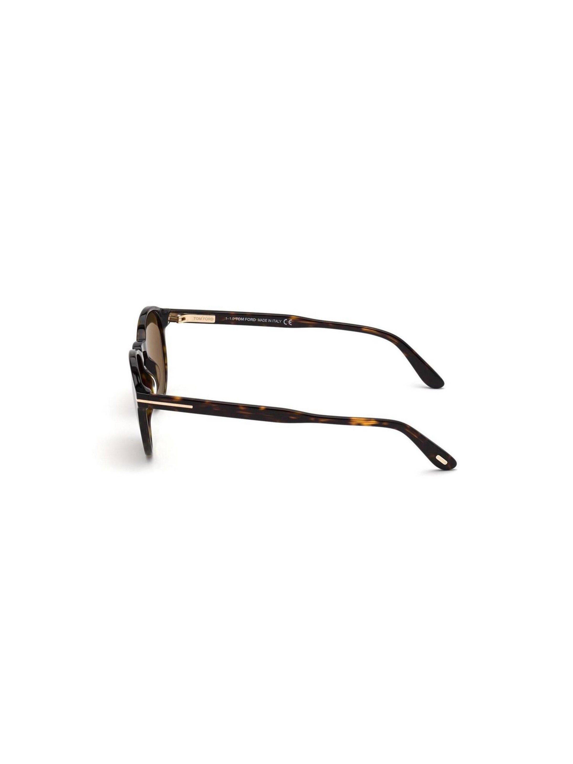 Tom Ford Zonnebril 'DANTE FT0834 52J' in Bruin