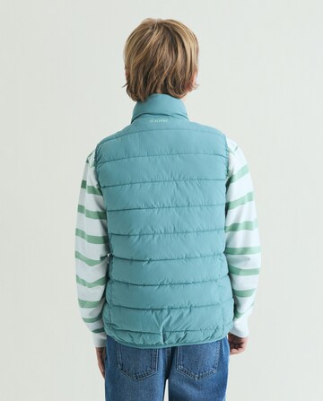Cappotto ' ' di Scalpers in verde