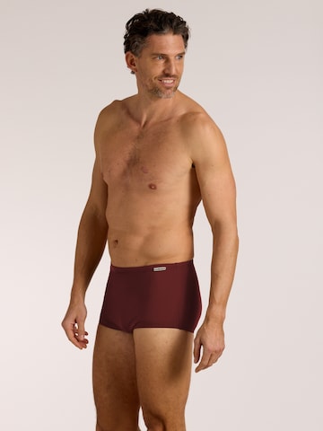 Pantaloncini da bagno di wavebreaker in rosso
