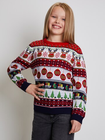 Threadboys Sweater 'Reindeer' in Red: front