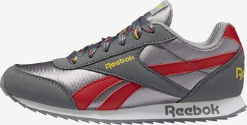 Reebok Sneaker in Grau: predná strana