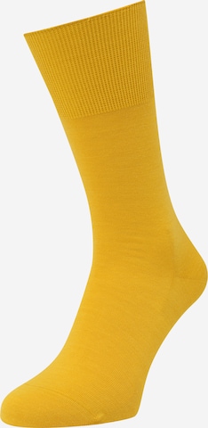 Chaussettes 'Airport' FALKE en jaune : devant